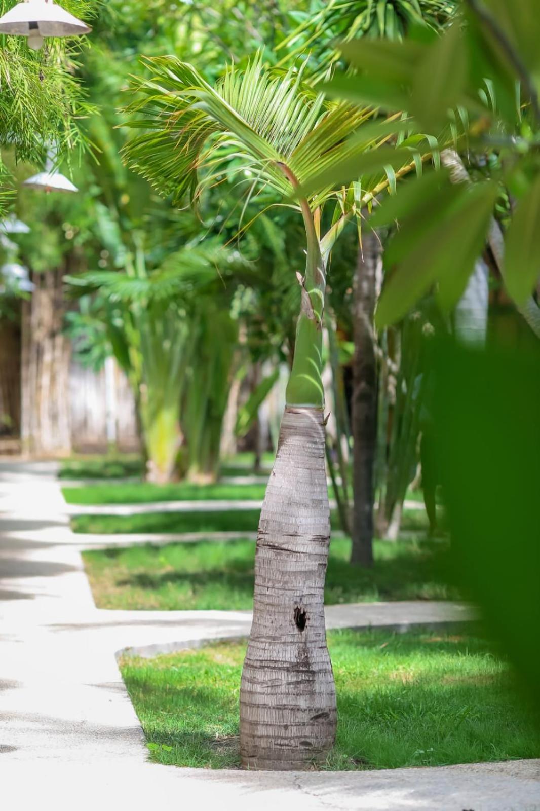 Diversia Diving Club & Bungalows Gili Trawangan Exterior foto